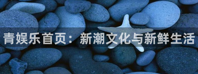 永盈棋牌3622mooc