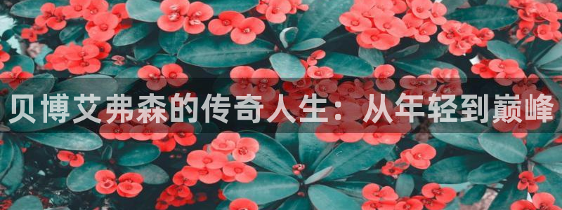 永盈登录官网