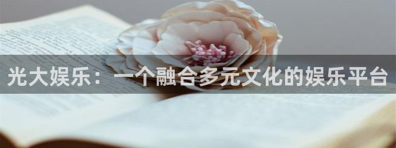 永盈平台登录网址