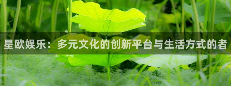 永盈旧版app
