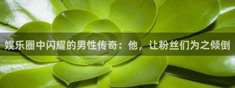 永盈科技