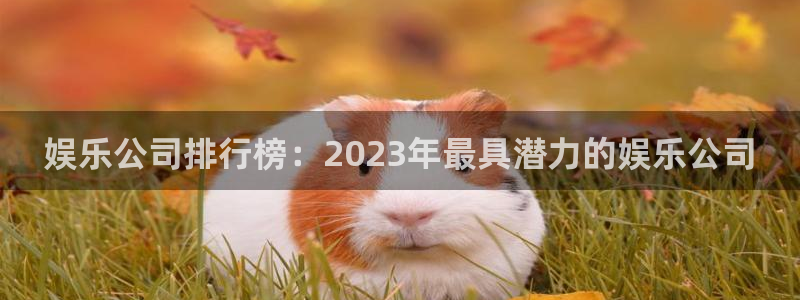 永盈网址