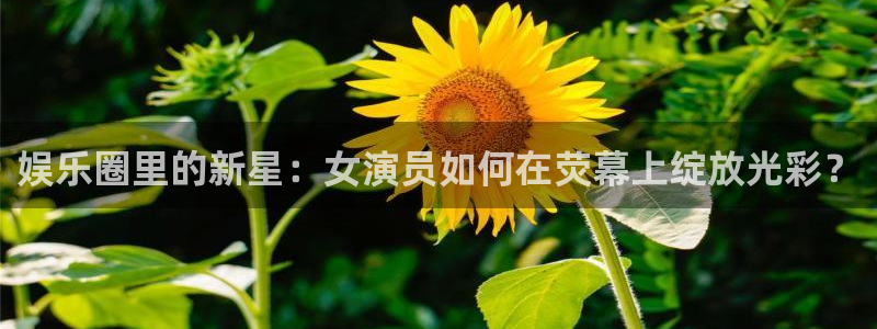 深圳市永盈电子有限公司