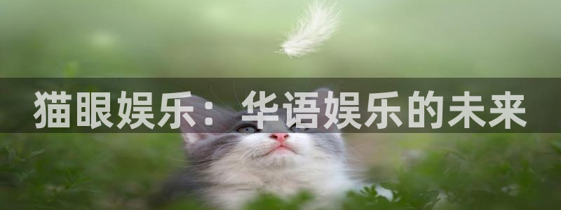 天津市永盈印刷有限公司：猫眼娱乐：华语娱乐的未来