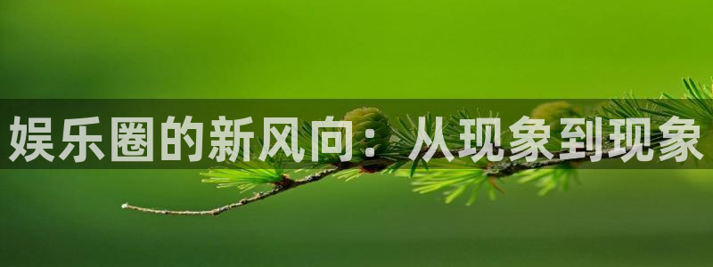 永盈电子有限公司：娱乐圈的新风向：从现象到现象