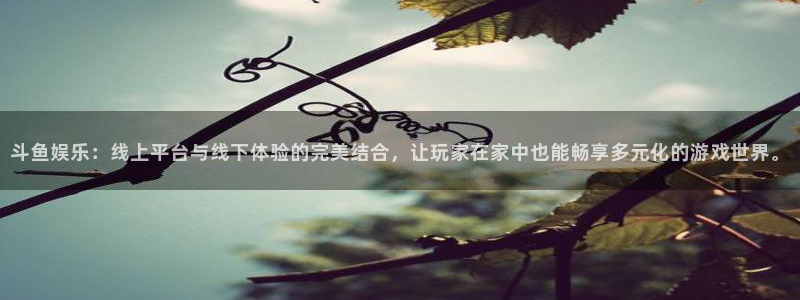 江苏永盈环卫服务有限公司：斗鱼娱乐：线上平台与线下体验的完美结合，让玩家在家中也能畅享多元化的游戏世界。