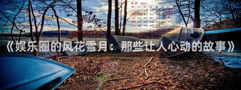 永盈电子有限公司：《娱乐圈的风花雪月：那些让人心动的故事》