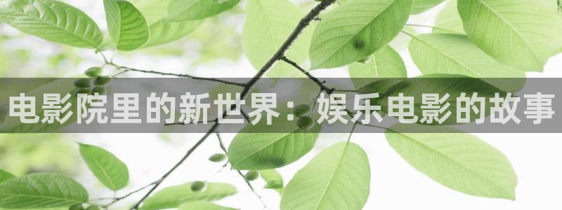 东莞市永盈电子有限公司：电影院里的新世界：娱乐电影的故事