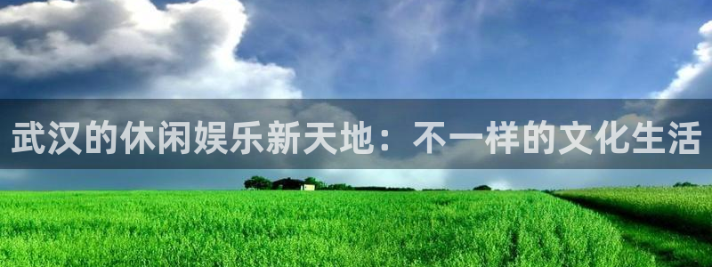 江苏永盈环卫服务有限公司：武汉的休闲娱乐新天地：不一样的文化生活